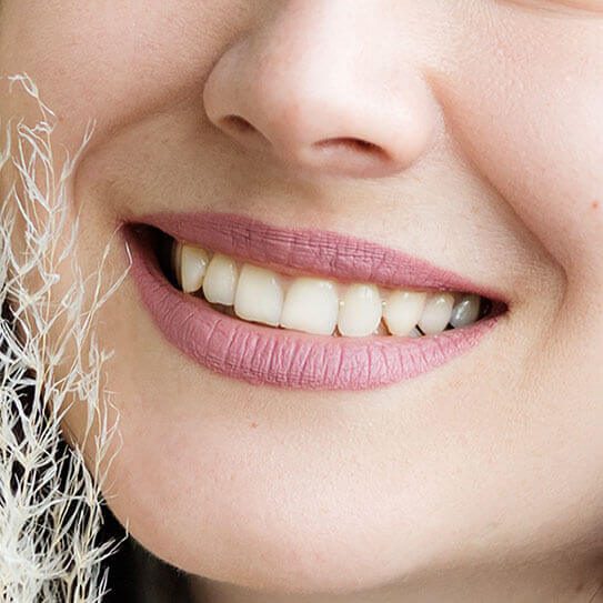 Wheeler Orthodontics, LLC -