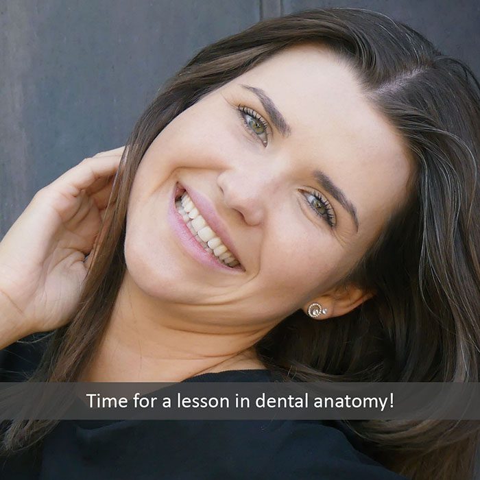 dental anatomy 2022 700 Wheeler Orthodontics