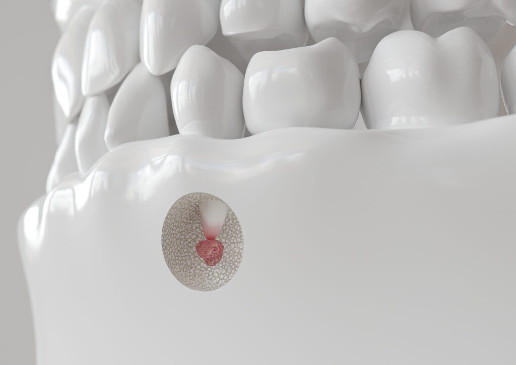 Wheeler Orthodontics, LLC -