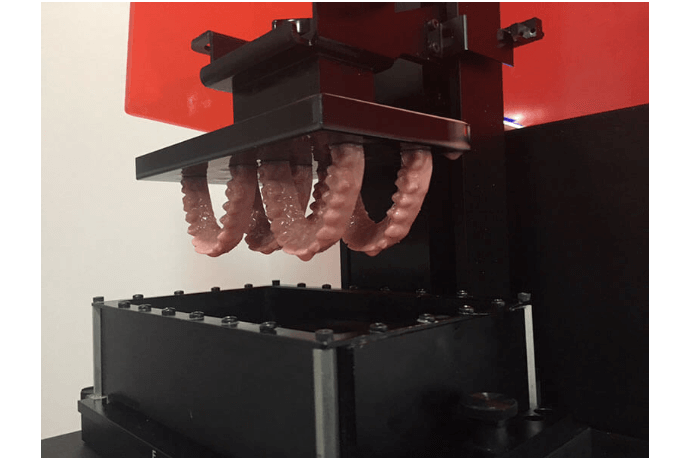 Wheeler Orthodontics, LLC -